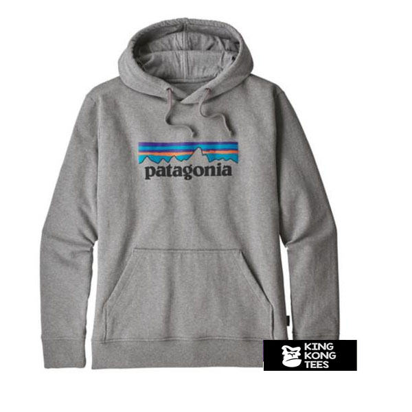 patagonia hoodie