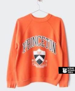 Rare Princeton sweatshirt